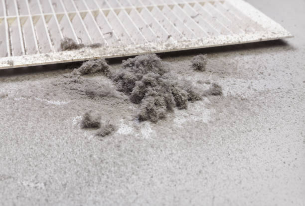 Best Air Duct Mold Removal  in Mount Ayr, IA