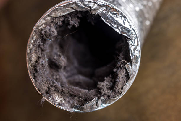 Best Affordable Air Duct Cleaning  in Mount Ayr, IA