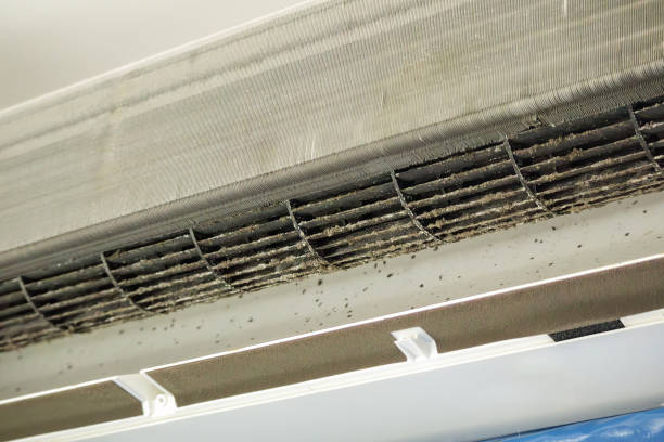 Best Air Vent Cleaning Services  in Mount Ayr, IA