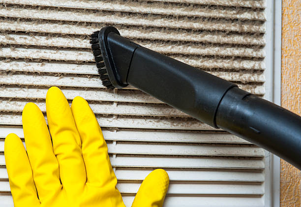Best Ductwork Cleaning Services  in Mount Ayr, IA